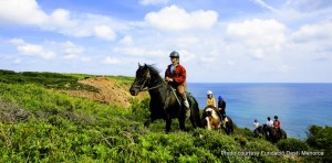 Horses Cami de Cavalls, Menorca