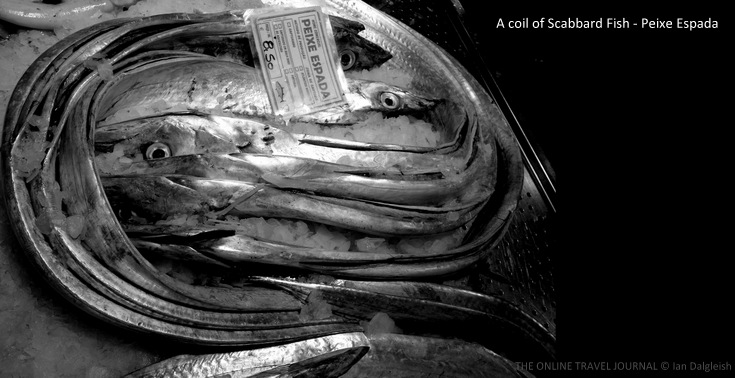 A coil of Scabbard fish _ Peixe Espada