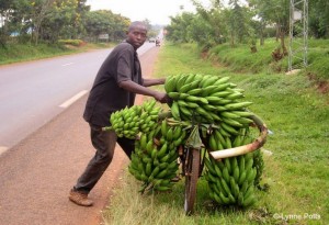 Man with bananas_Rwanda © Lynne Potts